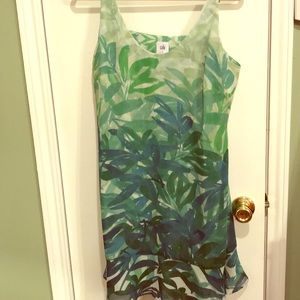Cabi castaway dress